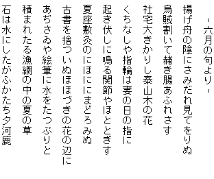 藤田直子の代表句2013年6月